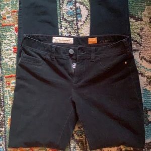 Dark Green corduroy Pilcro stretch skinny pants